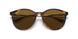 710/83 - Tortoise - Brown