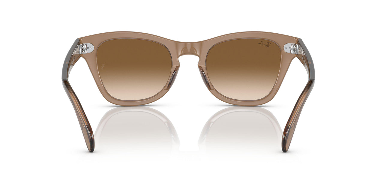 664051 - Light Brown - Clear Gradient Brown