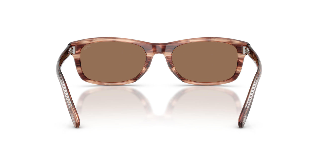 203673 - Brown - Dark Brown