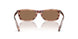 203673 - Brown - Dark Brown