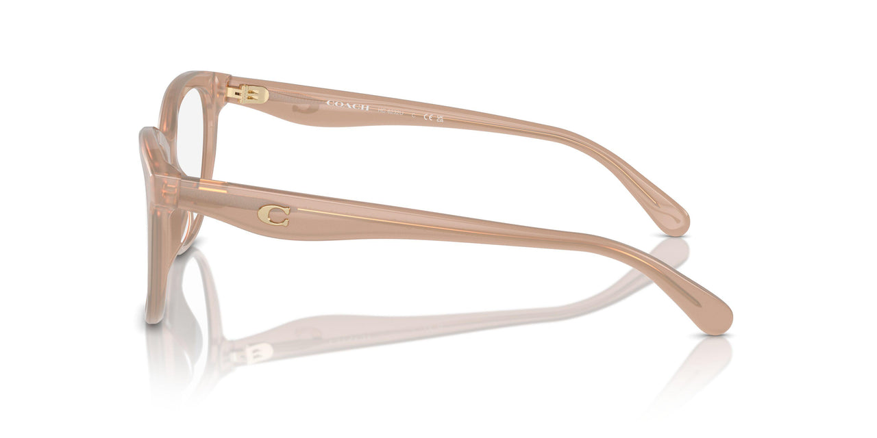 5808 - Brown