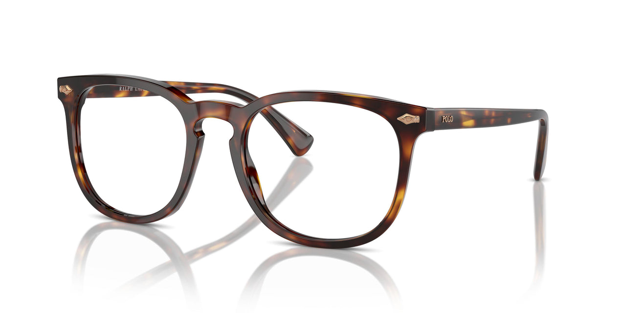 613773 - Tortoise - Brown
