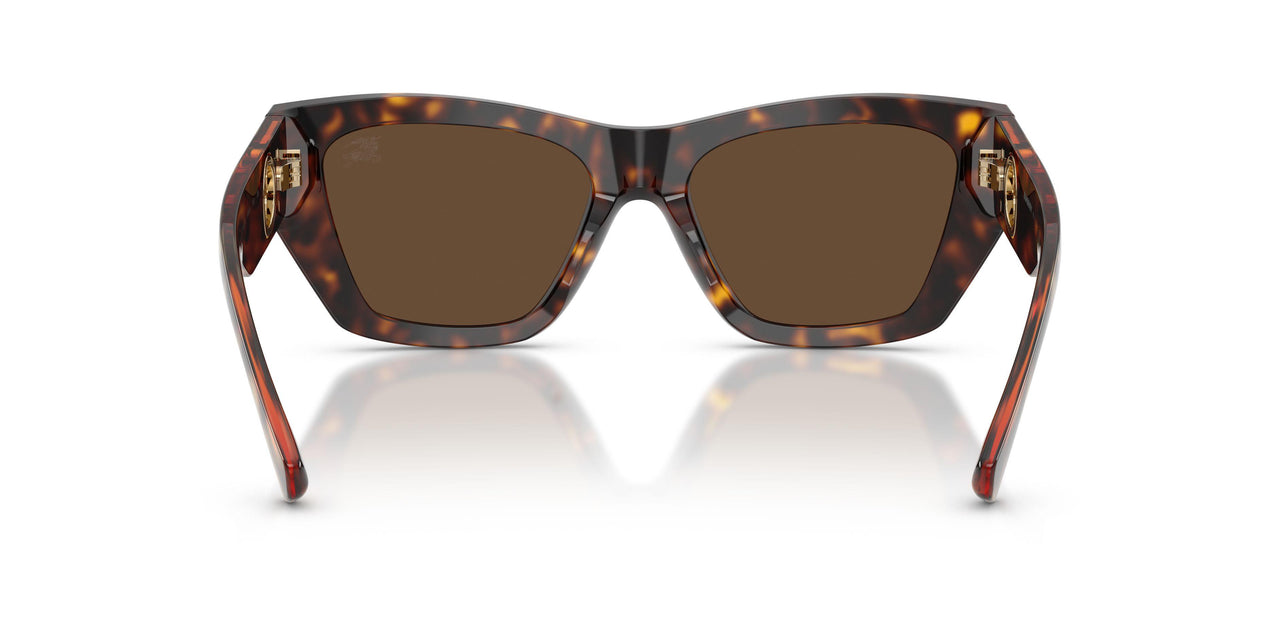 300273 - Brown - Dark Brown