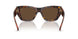 300273 - Brown - Dark Brown