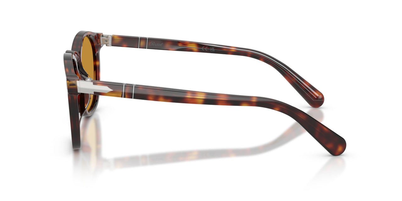 24/53 - Tortoise - Yellow Brown