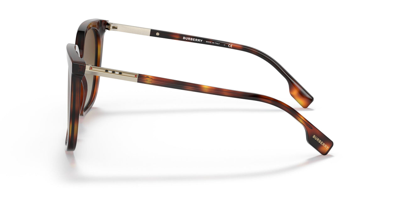 3316T5 - Havana - Gradient Brown Polar