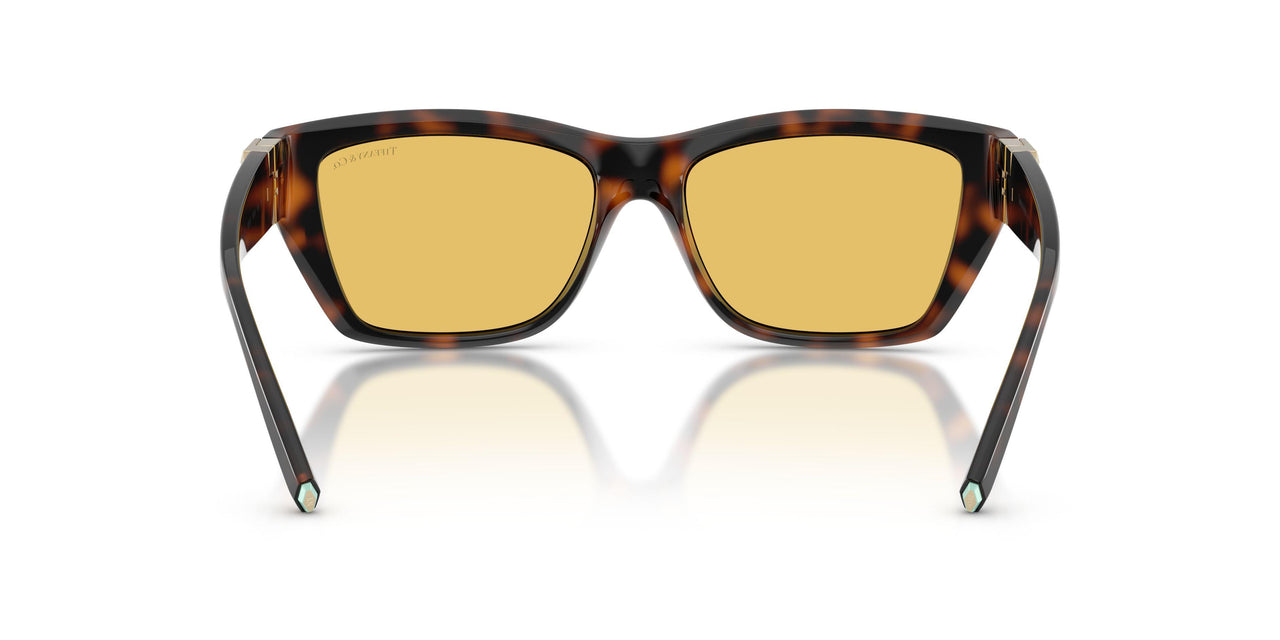 845685 - Tortoise - Yellow
