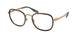 Polo 1231 Eyeglasses