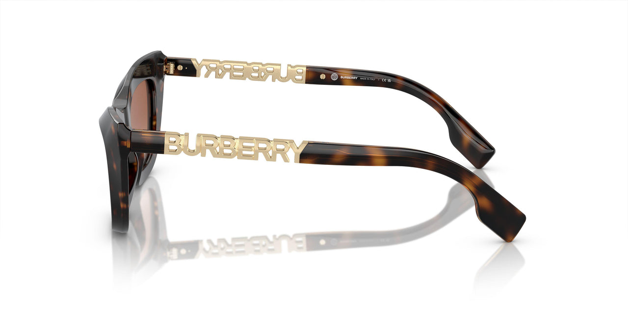 300213 - Brown - Brown Gradient