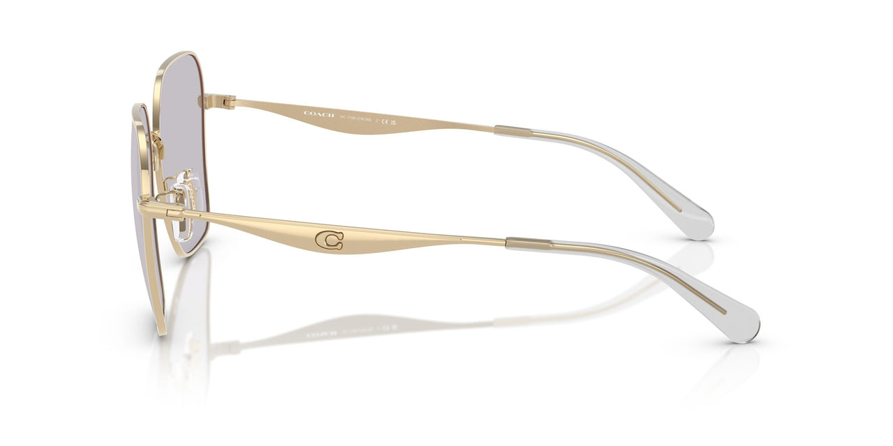9005ZQ - Gold - Grey Photochromatic
