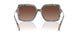 4017T5 - Tortoise - Brown Gradient Polar
