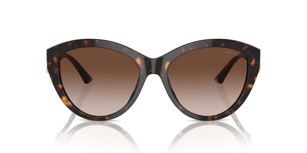500213 - Tortoise - Gradient Brown