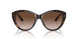 500213 - Tortoise - Gradient Brown