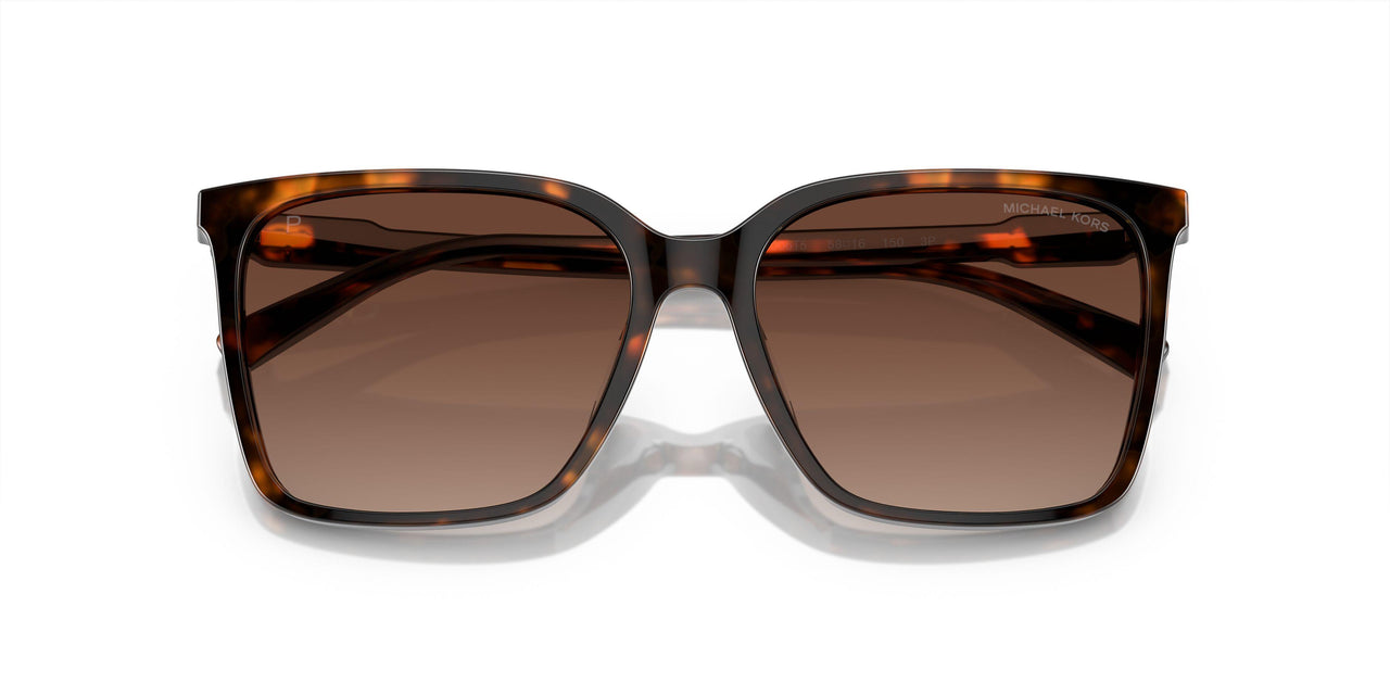 3006T5 - Tortoise - Brown Gradient Polar