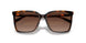 3006T5 - Tortoise - Brown Gradient Polar