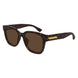 002 - Havana - Brown