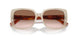 606113 - Brown - Gradient Brown