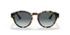 587486 - Havana - Light Blue Gradient Grey