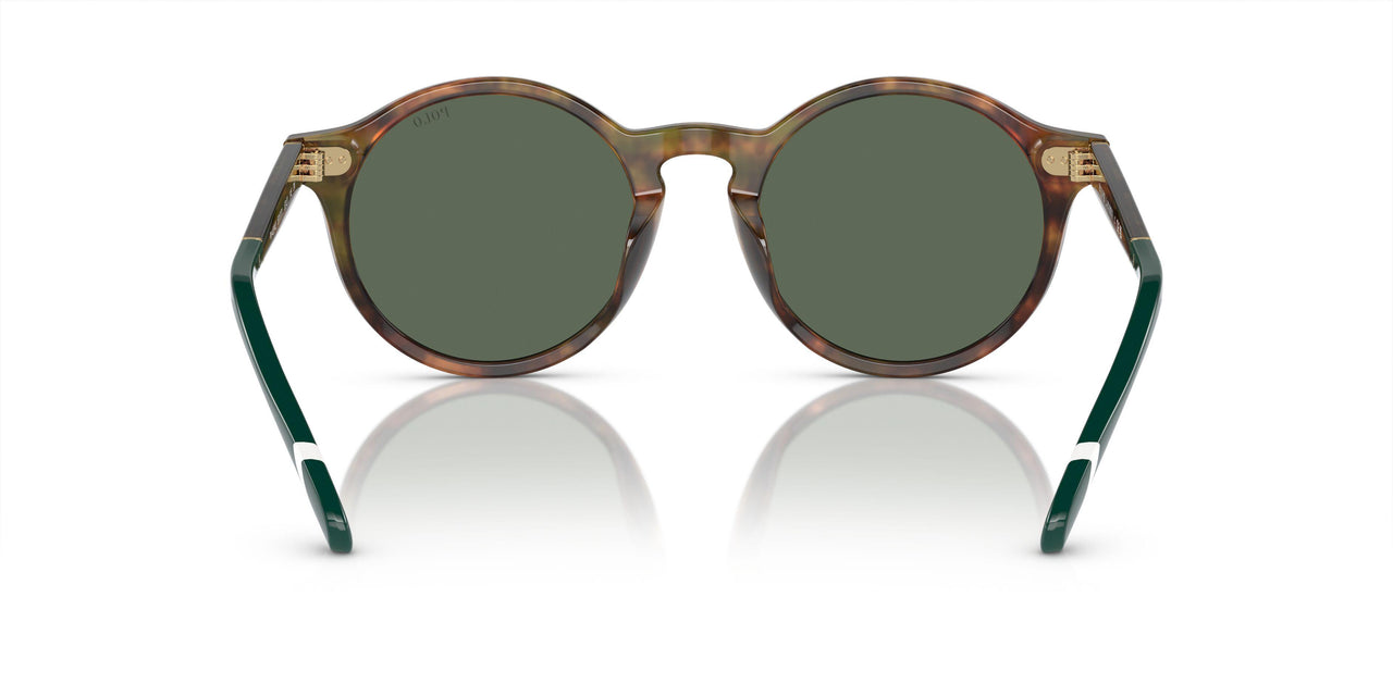 501771 - Tortoise - Bottle Green