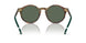 501771 - Tortoise - Bottle Green