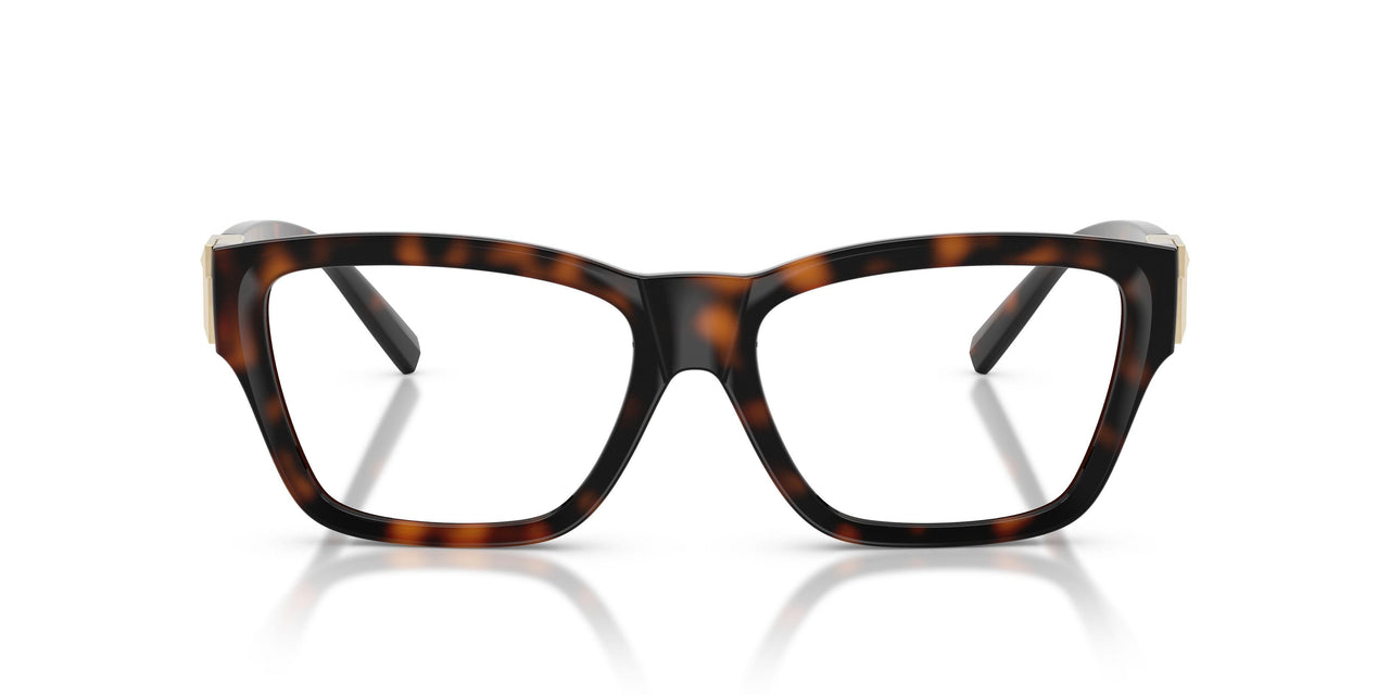 8015 - Tortoise