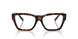 8015 - Tortoise