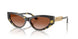 547013 - Tortoise - Brown Gradient