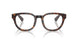 4205 - Brown