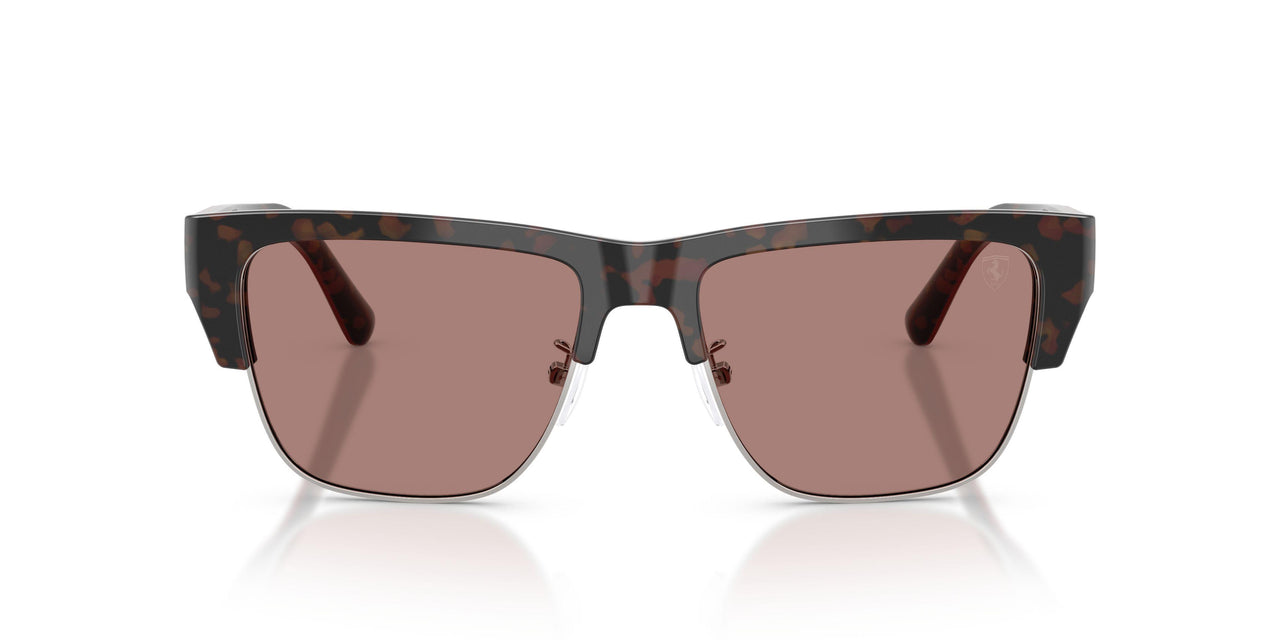 760/73 - Tortoise - Brown