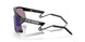 923707 - Black - Prizm Jade