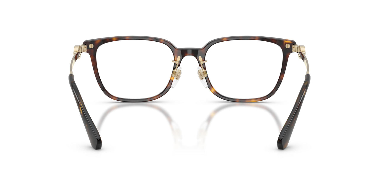 3002 - Brown