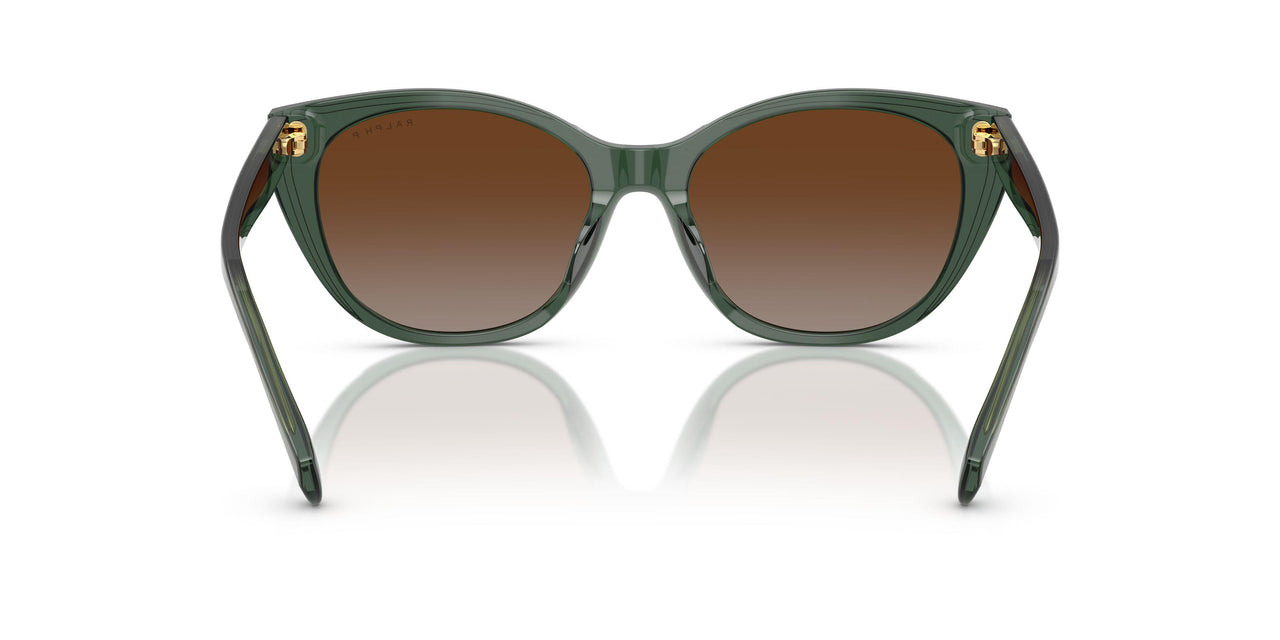 6206T5 - Green - Polar Gradient Brown