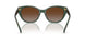 6206T5 - Green - Polar Gradient Brown
