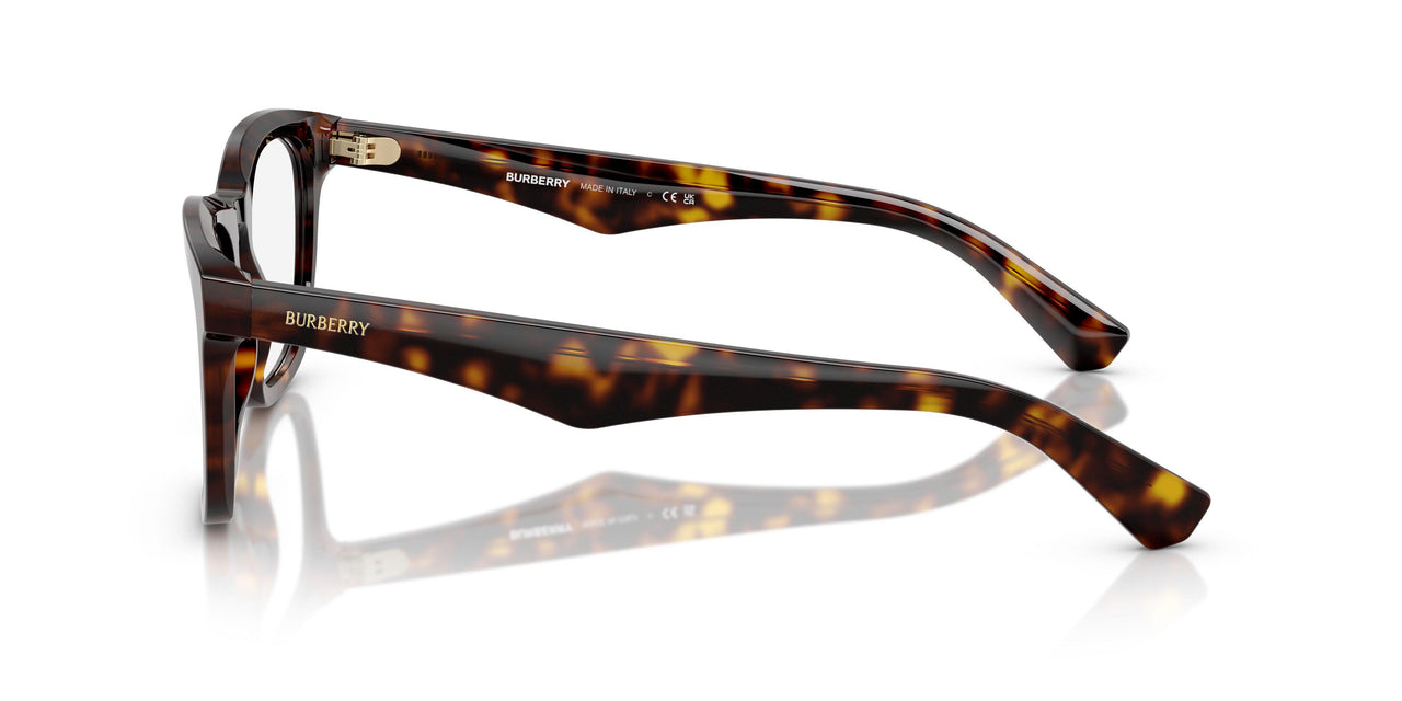 3002 - Brown
