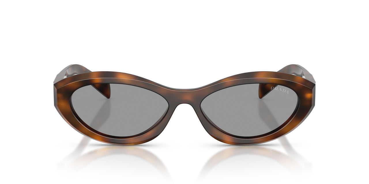 20D50Q - Havana - Grey