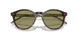 587914 - Tortoise - Green