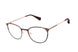 Ted Baker TLW014 Eyeglasses