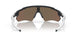 920851 - Matte Black - Prizm Black Polarized
