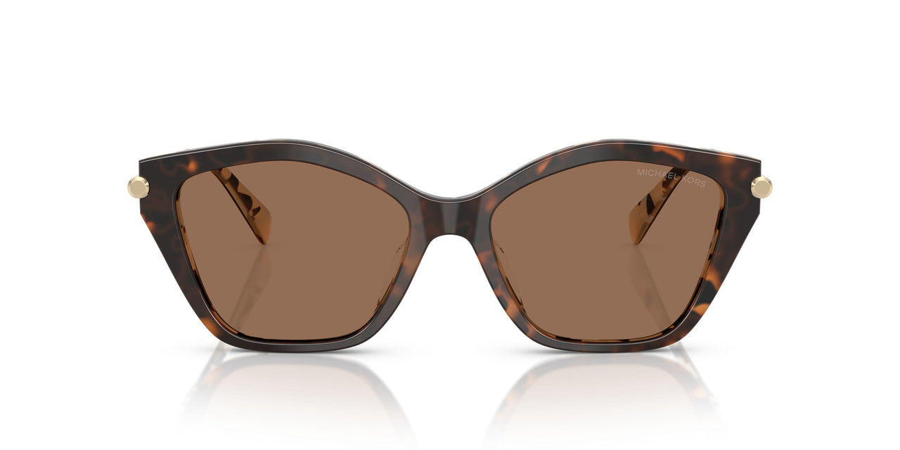 395173 - Tortoise - Brown Solid