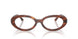 2144 - Brown - Clear