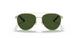918971 - Gold - Dark Green