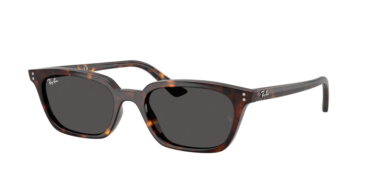 Ray-Ban Zaya 4456F Sunglasses