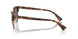 613773 - Tortoise - Brown