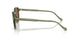 318773 - Green - Dark Brown
