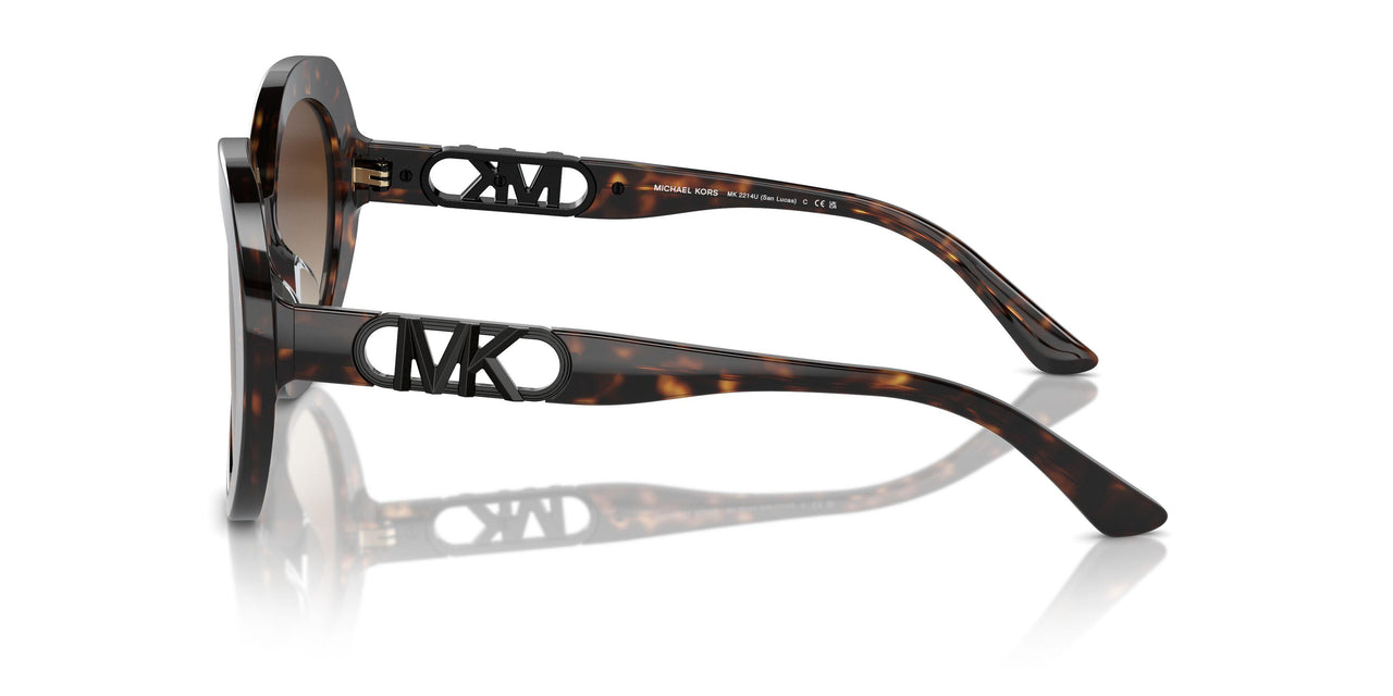 300613 - Tortoise - Brown Gradient
