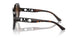 300613 - Tortoise - Brown Gradient