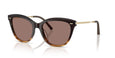 139253 - Brown - Sierra