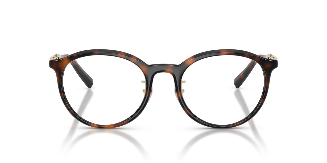 8015 - Tortoise