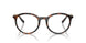 8015 - Tortoise