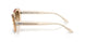 690251 - Pink - Clear Gradient Brown